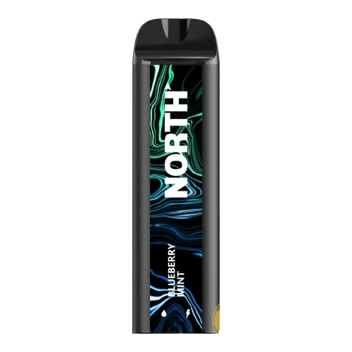 North 5000 Puff Disposable Vape β Blueberry Mint flavor front view